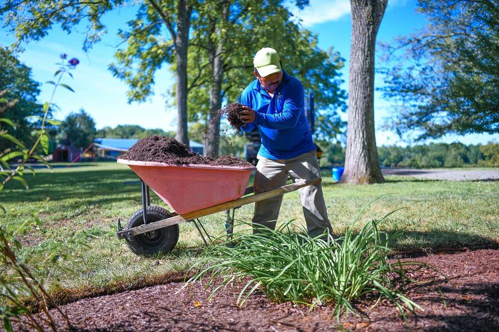 Landscaping In Bethel